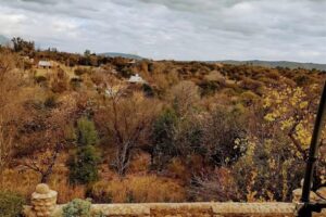 Camping “El algarrobal”