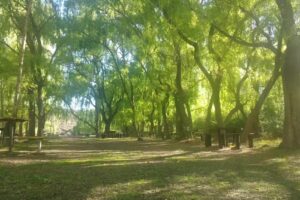 Camping El Montañés