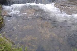 CAMPING EL PARQUECITO