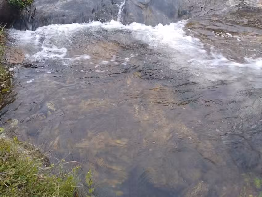 CAMPING EL PARQUECITO