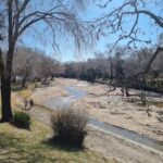 Camping El Pelícano