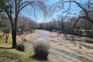 Camping El Pelícano