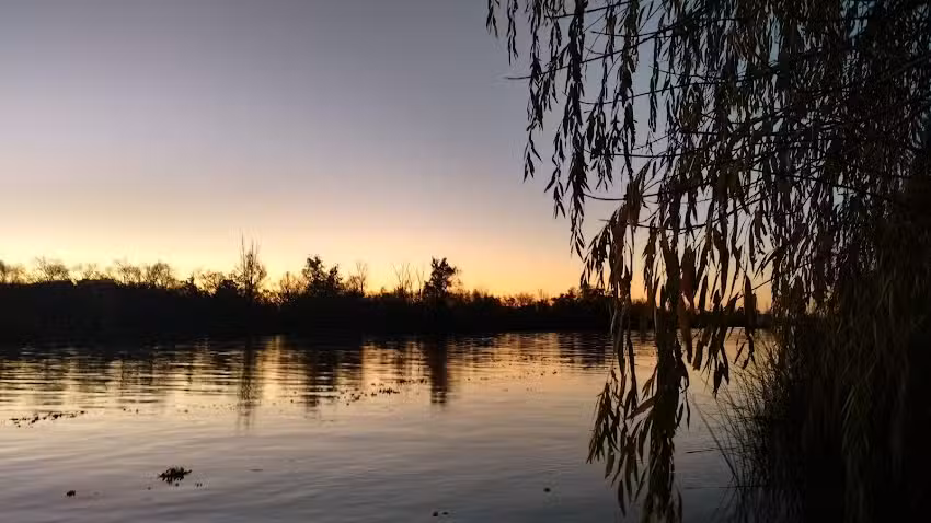 Camping El Puente Zárate