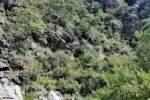 Camping El Quebradeño