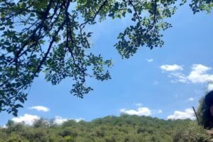 Camping El Saltón (Hosteria Balcosna flia Gordillo)