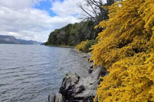 Camping En Villa Traful