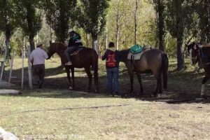 CAMPING FUNDACION GAUCHOS LIBRES