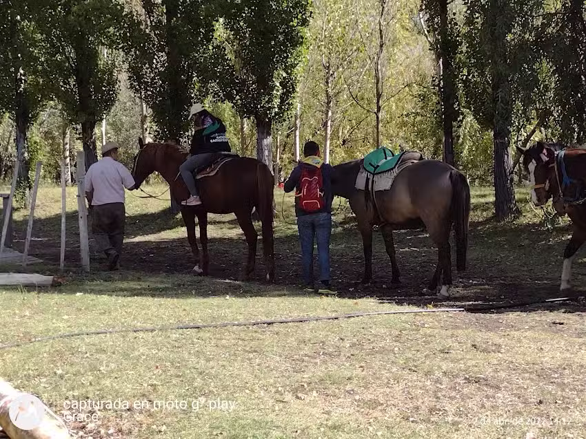 CAMPING FUNDACION GAUCHOS LIBRES