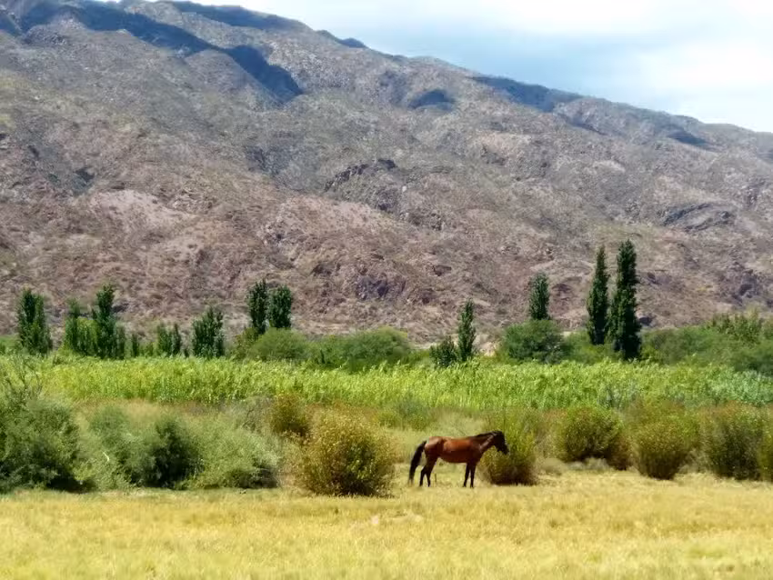 camping hostel indigo