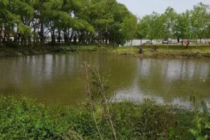 Camping Ipona Guazú