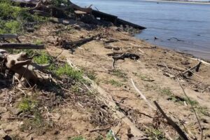 Camping Isla Del Cerrito