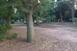 Camping la Ponderosa