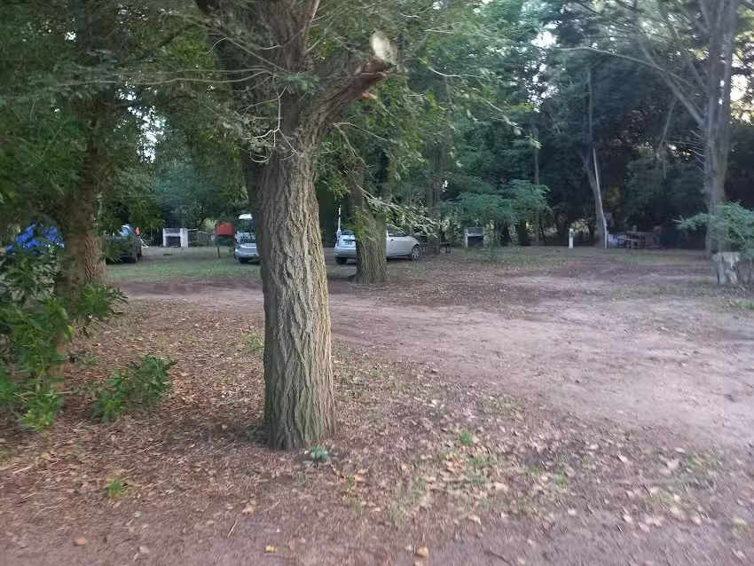 Camping la Ponderosa