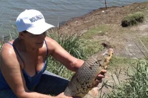 Camping Laguna De Rocha