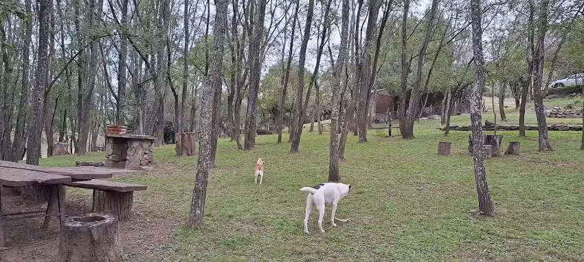 Camping las acacias familia Vizcarra