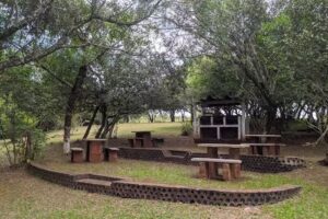 Camping Las Palmeras