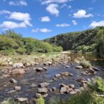 Camping Los Algarrobos