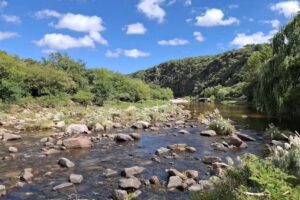 Camping Los Algarrobos