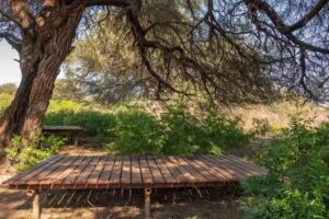 Camping Los Algarrobos