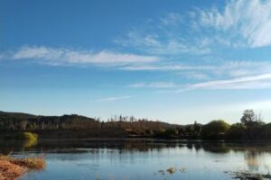 Camping Los Cipreses Río Futaleufú
