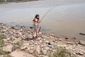 Camping Luz y Fuerza