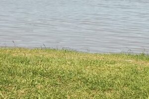 Camping Mansa L.y.f.e