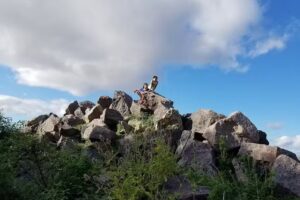 Camping Municipal Atalaya