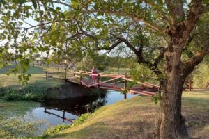 Camping Municipal Federal