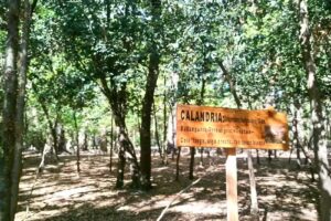 Camping Municipal la Chacra (Carhue)