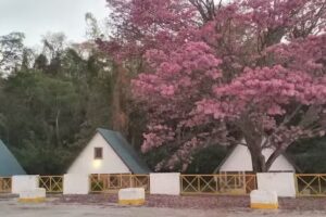 Camping Municipal la Loma