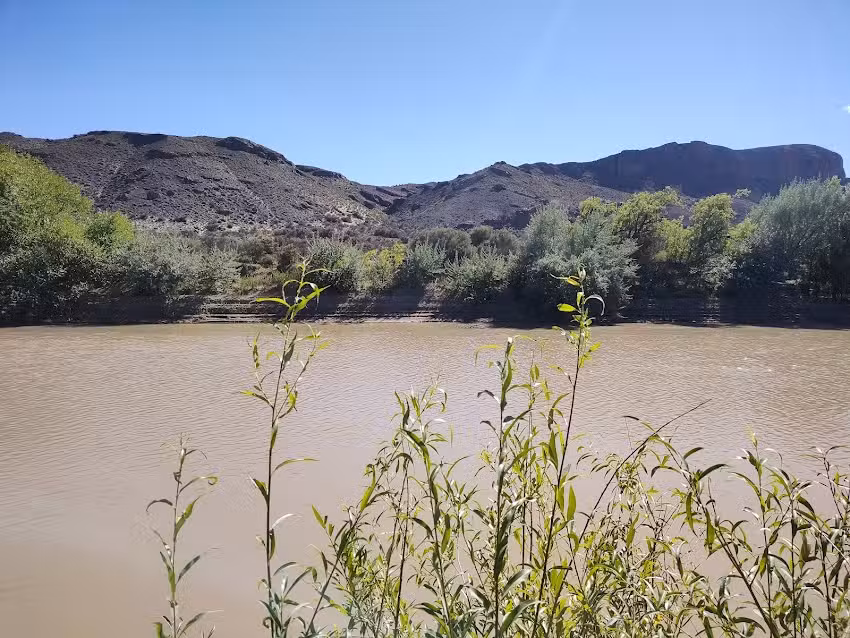 Camping Municipal Los Altares