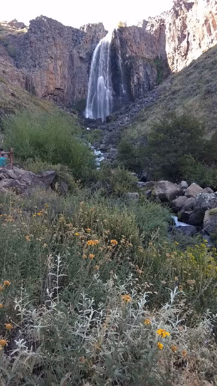 Camping Municipal Manzano Amargo