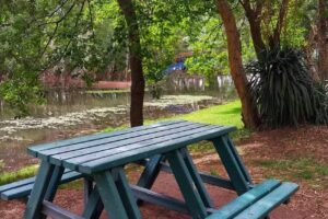 Camping Municipal Naturaleza Pura General Conesa