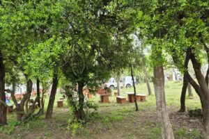 Camping Orillas del Rio