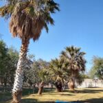 Camping Parque Norte