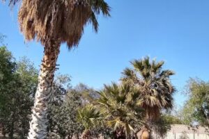 Camping Parque Norte