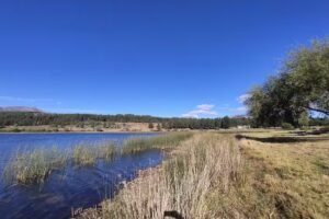 Camping Perito Moreno