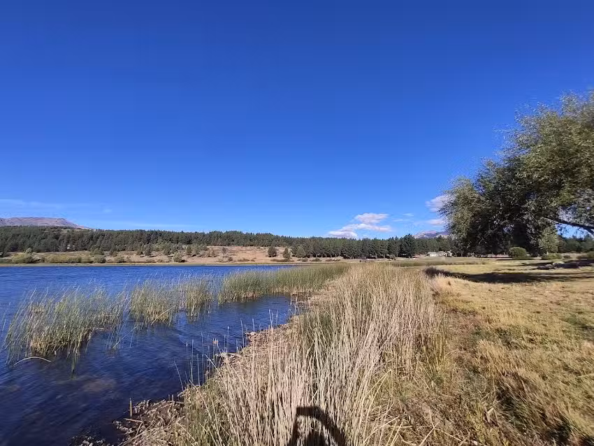 Camping Perito Moreno