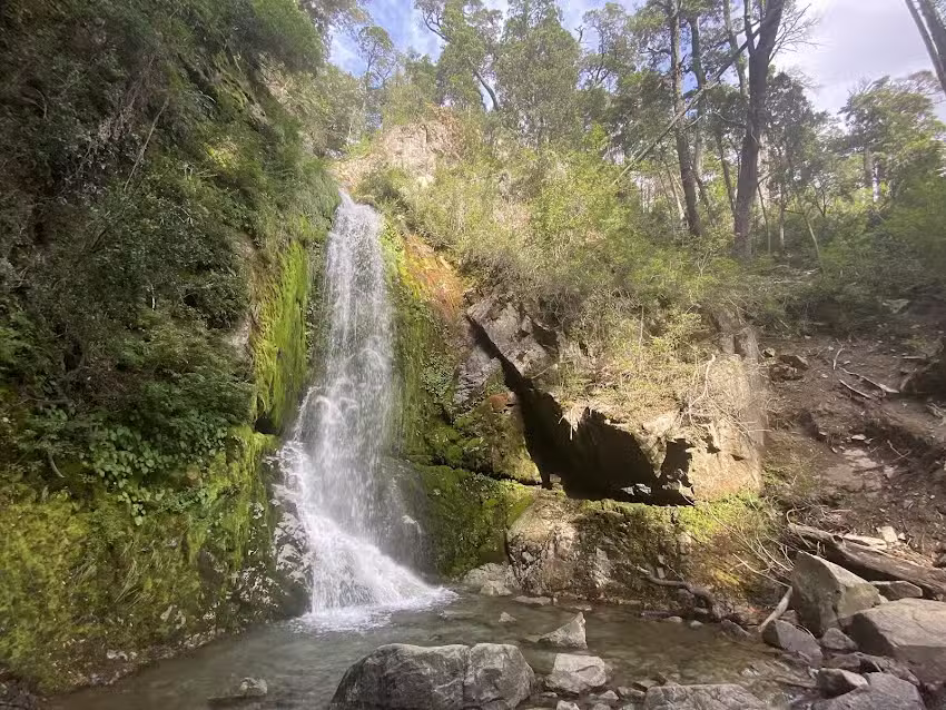 Camping Pichi Traful