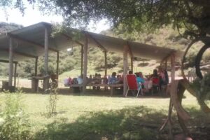 Camping potrillo criollo