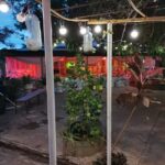 Camping San Cayetano