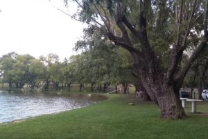 Camping Universitario