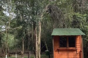 Camping y Alojamiento “DON ARTURO”