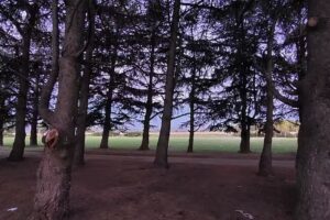 Camping y Balneario Municipal Parque Norte