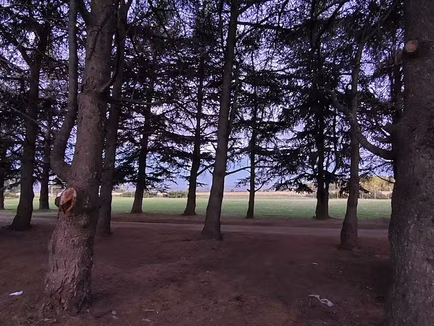 Camping y Balneario Municipal Parque Norte