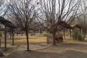 Camping y Cabañas El Festival