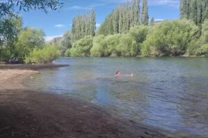 Camping y Cabañas La Anita