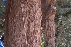 Camping y hospedaje don Chochita