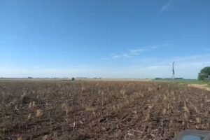 Campo González Calderón Gualeguay