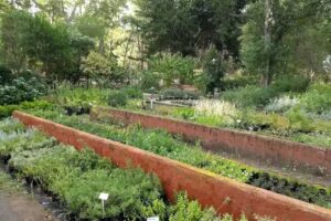 Campo Scout “Indio Fermín”